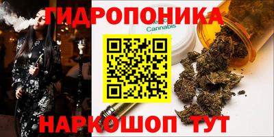 мдпв Шелехов