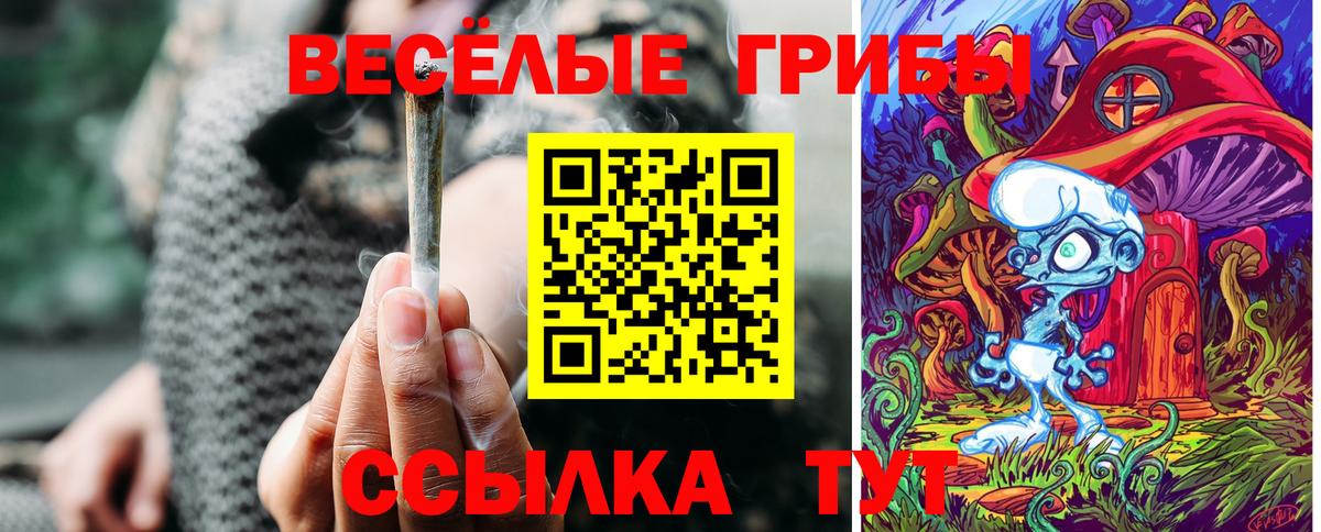 как найти   Галлюциногенные грибы мицелий  Вход с VPN  Ачхой-Мартан 