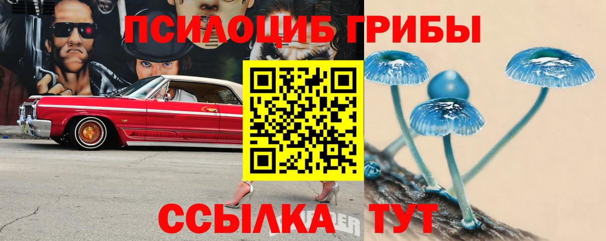 Галлюциногенные грибы мицелий Ачхой-Мартан